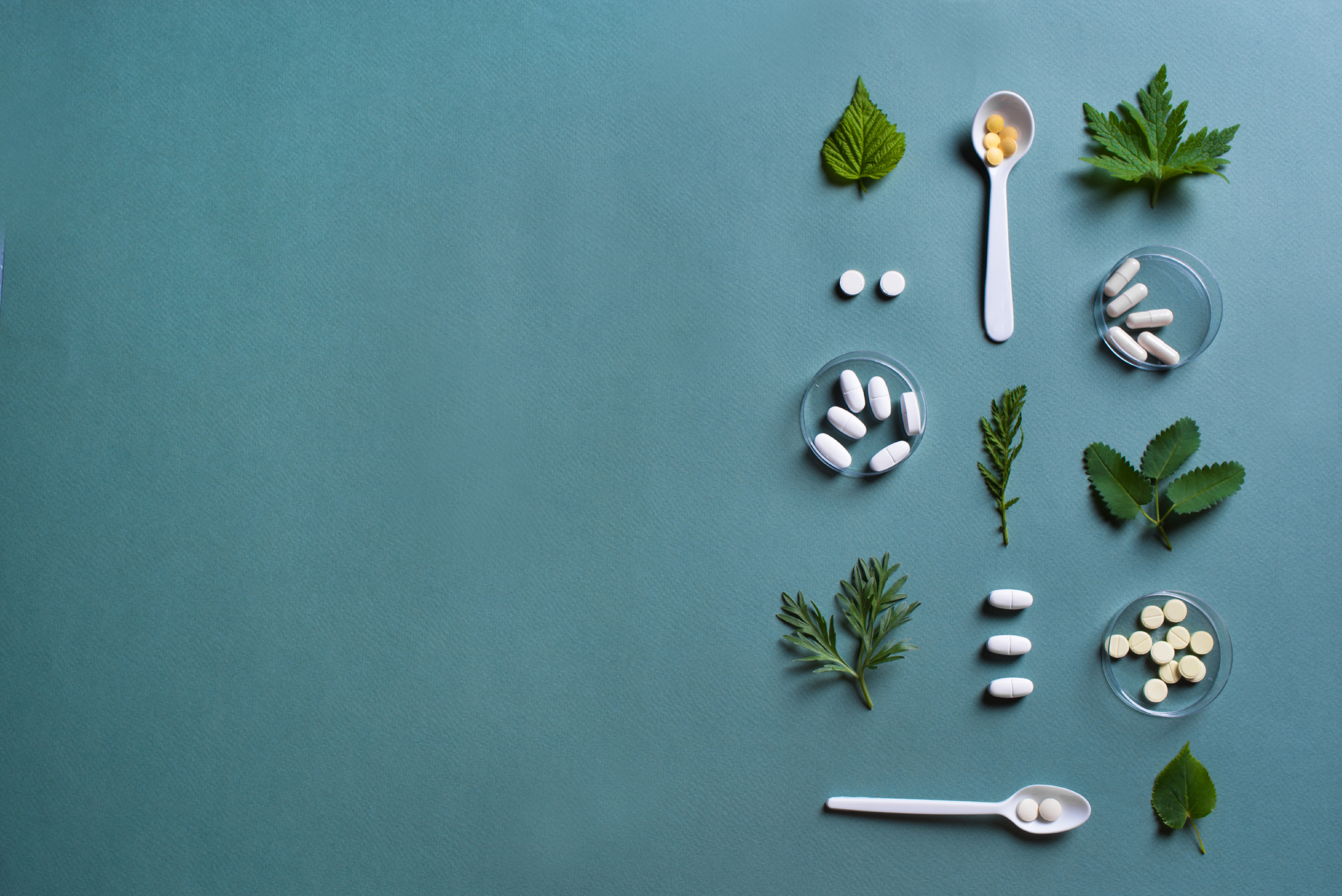 Homeopathy, naturopathy, herbal medicine concept